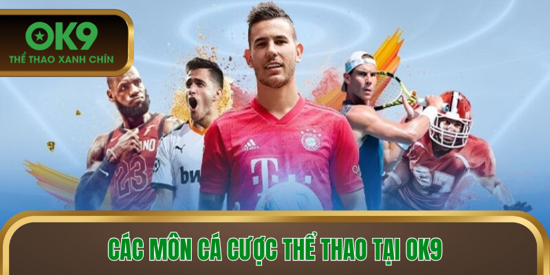 Các môn cá cược thể thao tại OK9