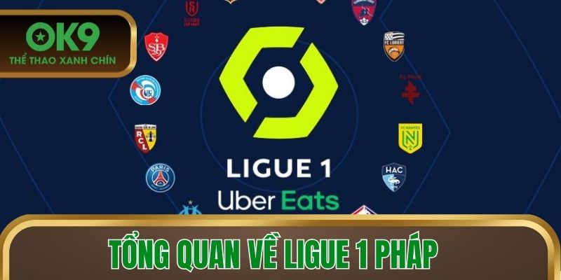 Tổng quan về Ligue 1 Pháp