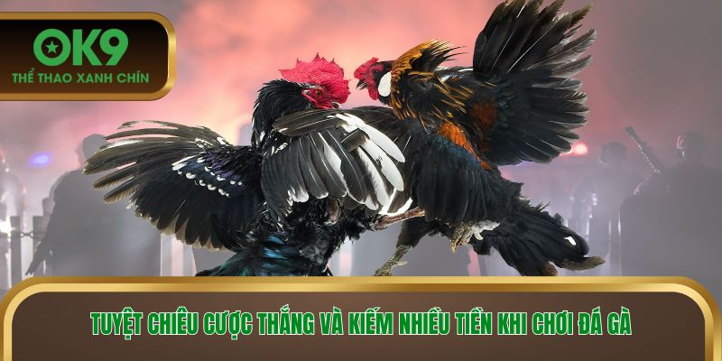 Tuyệt chiêu cược thắng và kiếm nhiều tiền khi chơi đá gà