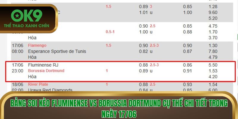 Bảng Soi kèo Fluminense vs Borussia Dortmund cụ thể chi tiết trong ngày 17/06